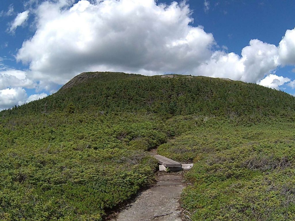Appalachian Trail