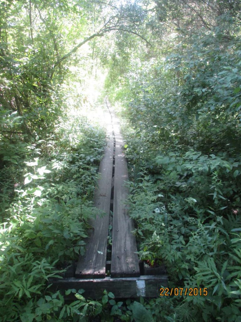 Appalachian Trail