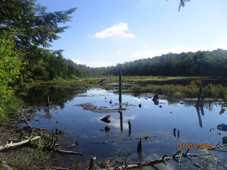 Appalachian Trail