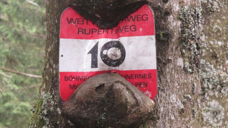 Rupertiweg