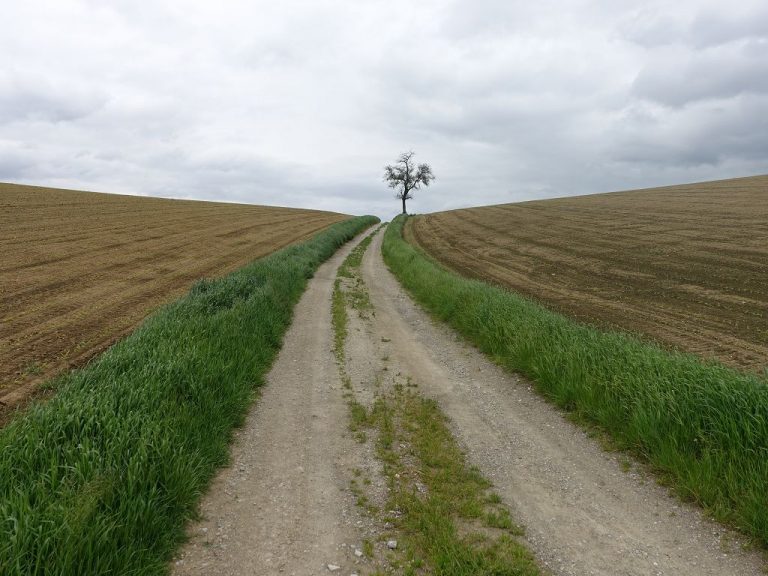 Nord-Süd-Weitwanderweg 05