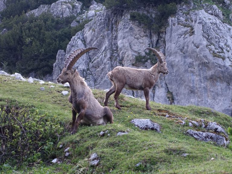 Nord-Süd-Weitwanderweg 05