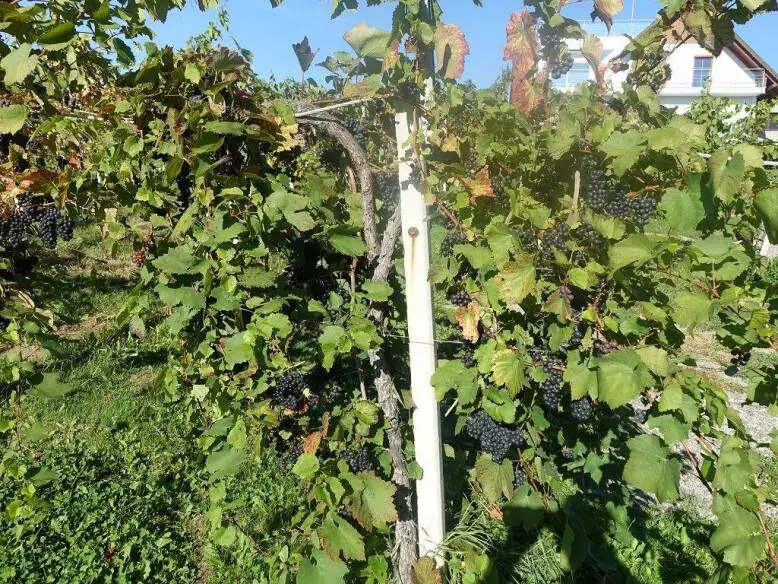 Nord-Süd-Weitwanderweg 05