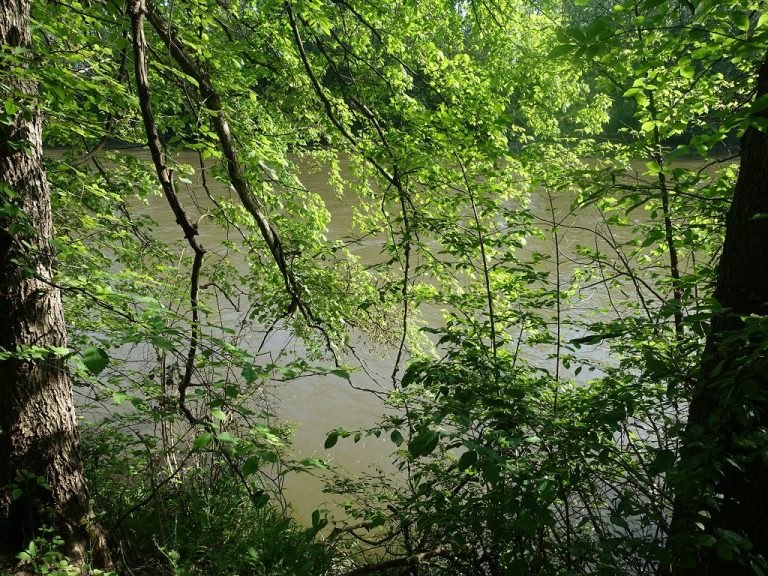 Österreichischer Weitwanderweg 03