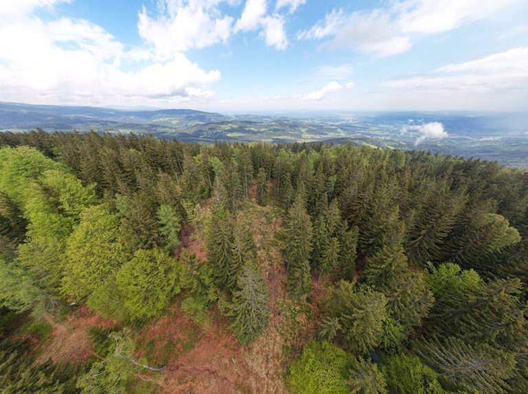 Österreichischer Weitwanderweg 03