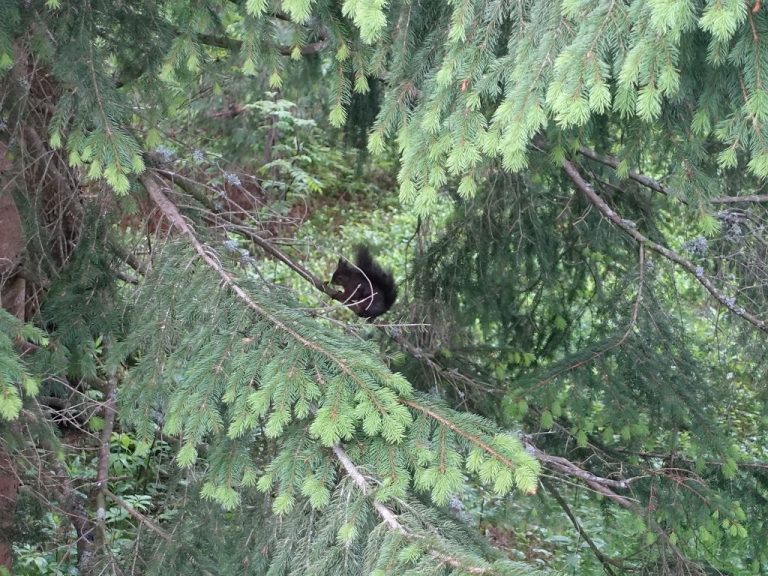 Nord-Süd-Weitwanderweg 05