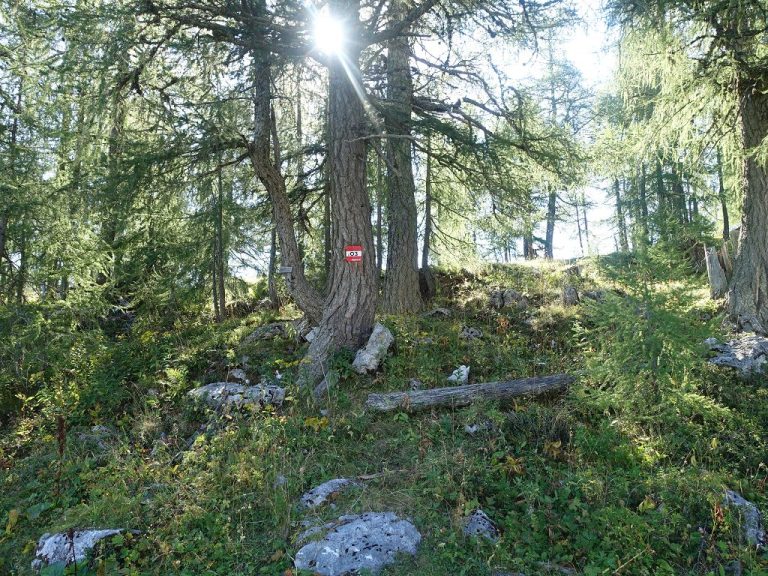 Österreichischer Weitwanderweg 03