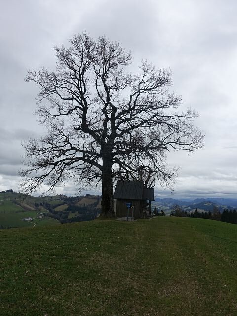 Österreichischer Weitwanderweg 04
