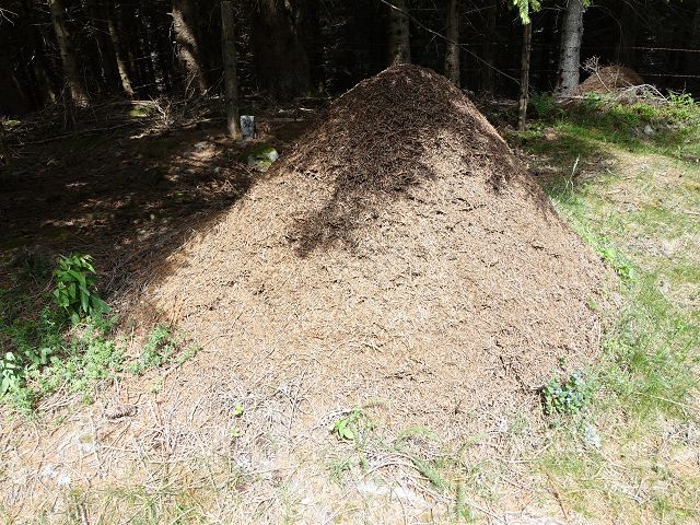Österreichischer Weitwanderweg 06