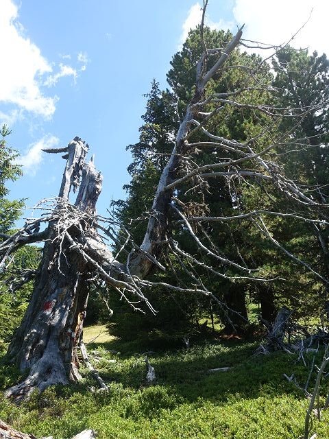 Österreichischer Weitwanderweg 09
